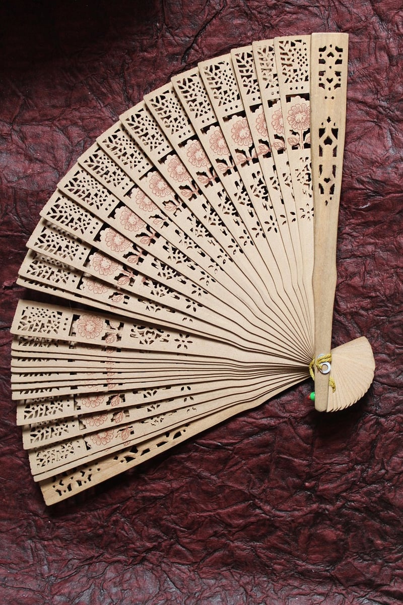 Tai Chi Fan